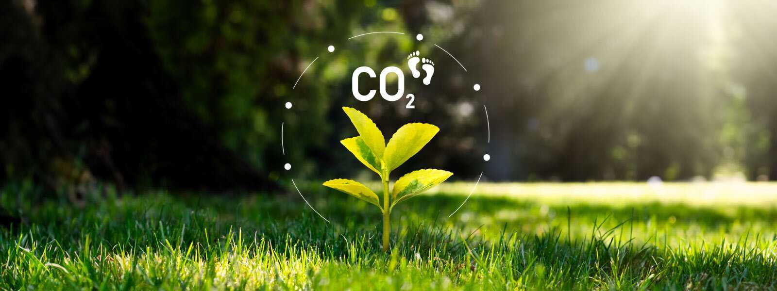 Alivo Zero ayuda a las empresas a alcanzar sus objetivos medioambientales a través del renting de vehículos y activos productivos menos contaminantes, telemetría avanzada y programas de compensación de emisiones.